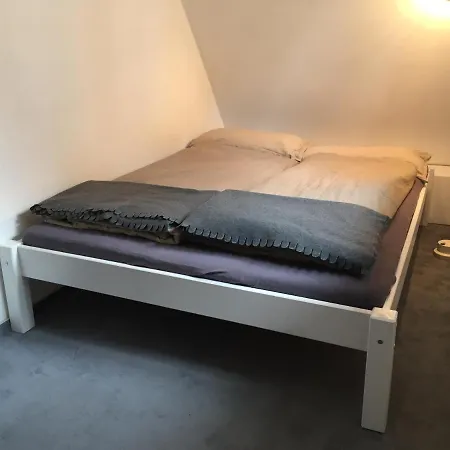 Cosy מונסטר